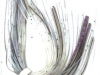 flash-shad