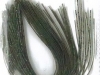 green-pumpkin-candy