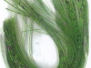 mint-julip
