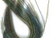 pumpkin-pepper-green-blue