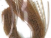 rons-pumpkin-seed